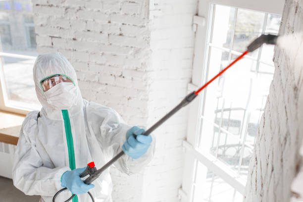 Mold Remediation for Vacation Homes in Lemont, IL